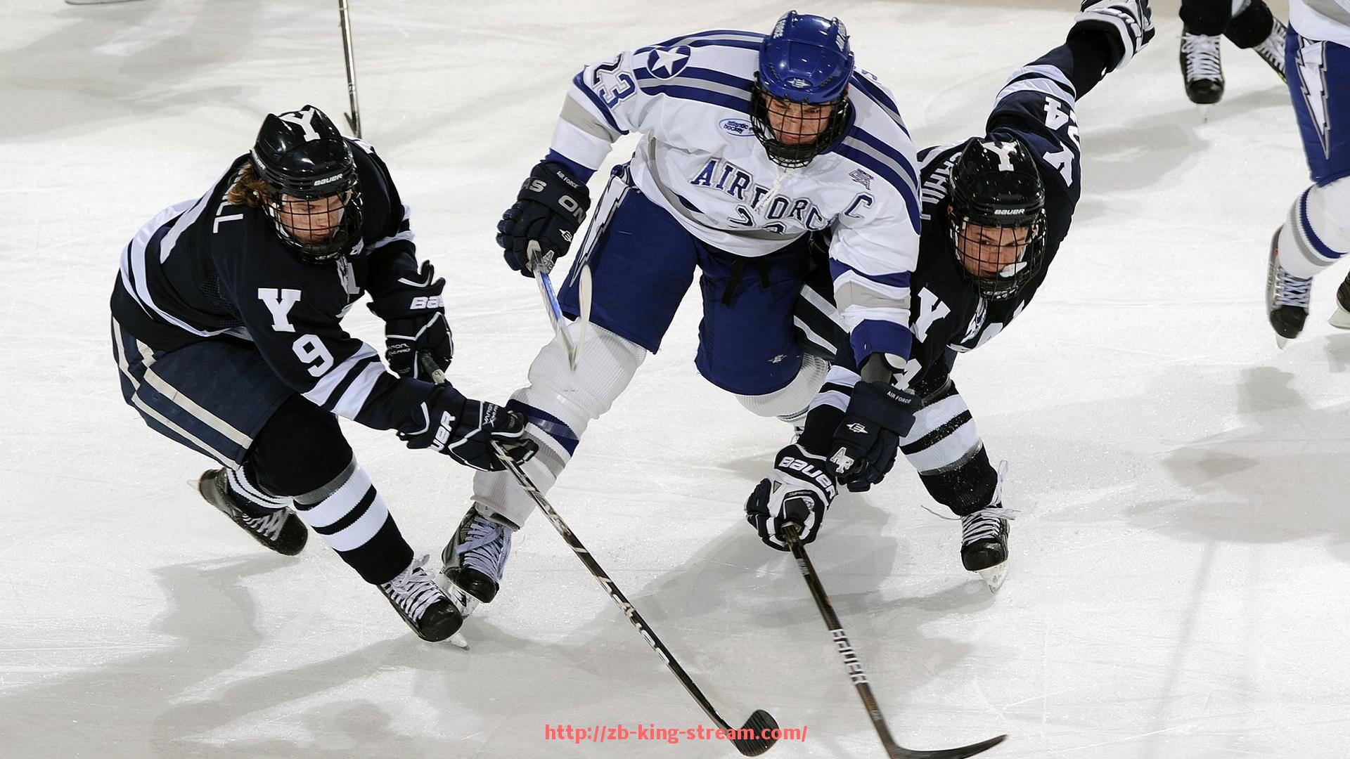 王者体育直播-探秘世俱杯球迷现场助威舞蹈比赛,全球球迷齐聚赛场共舞热情